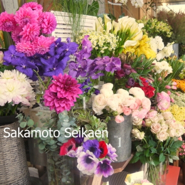 「さかもと生花園」　（兵庫県姫路市）の花屋店舗写真1